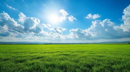 Wide expanse of a lush green field under a vibrant blue sky. 