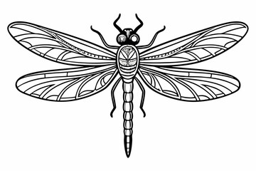 coloring page line art the dragonfly black vector