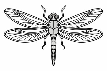 coloring page line art the dragonfly black vector
