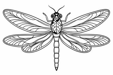 coloring page line art the dragonfly black vector