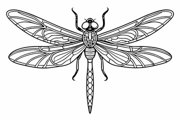 coloring page line art the dragonfly black vector
