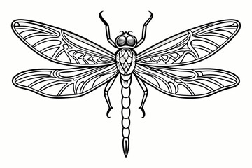 coloring page line art the dragonfly black vector