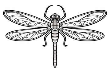 coloring page line art the dragonfly black vector