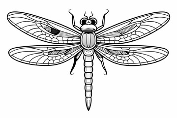 coloring page line art the dragonfly black vector
