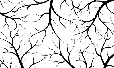 Abstract black roots pattern decorative white background. monochrome line art.