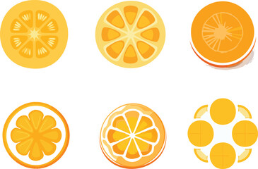 Fruit slices vector illustration set. Orange Slices vector collection