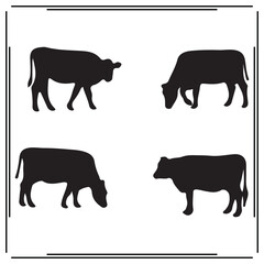 Cow silhouette, Cow illustration ,Cow clipart, Cow vector , Cow icon , black Cow ,Cow illustration on white background, Cow vector illustration ,