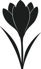 Elegant Crocus Flower Silhouette – Botanical Vector Illustration for Spring and Floral Designs