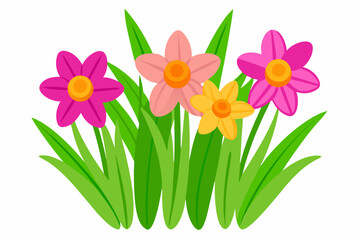 vector illustration of a bouquet of daffodils