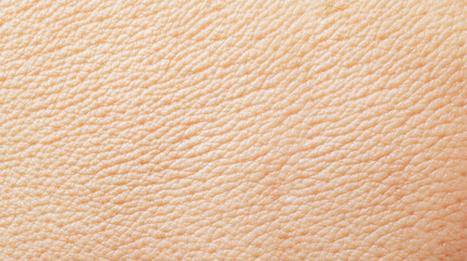 Macro closeup view of human skin texture showing pores and goosebumps creating a detailed and textured background for beauty, health, and skincare concepts