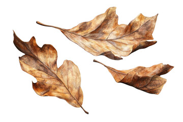 Naklejka premium Three Brown Leaves Float Gently Against a Dark Background, Autumn Serenity.
