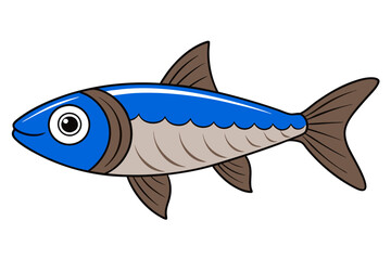 fish on white background