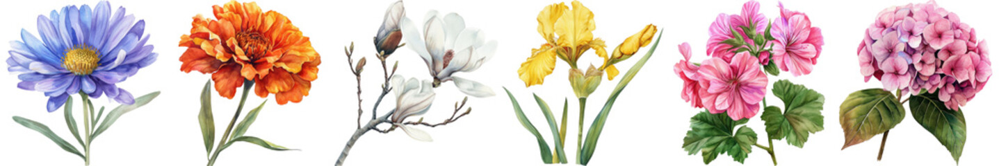 Beautiful Arrangement of Colorful Flowers with Varied Petals and Lush Green Leaves in a Botanical Display