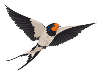 Spring bird with bright plumage soaring in the air. Vector isolated texture vector drawing of swallow flying in air. Beautiful color pattern in trendy style. Orange, blue, beige, gray, black color