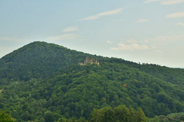 Ruins of Zborov Castle in Slovakia deep in the forest view from above