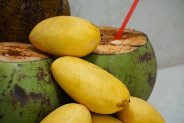 A single ripe mango held in hands, with coconuts in the background on a blurred backdrop. An exotic display of tropical fruits.

