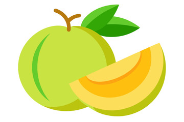 vector illustration of an apple