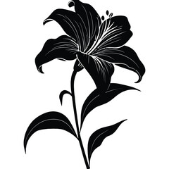 flower silhouette,  
black and white flower,  
flower vector,  
flower design,  
flower silhouette vector,  
black flower art,  
flower outline,  
flower clipart,  
flower graphic,  
flower illustrati