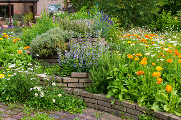 herb spiral in the garden with fresh herbs and flowers