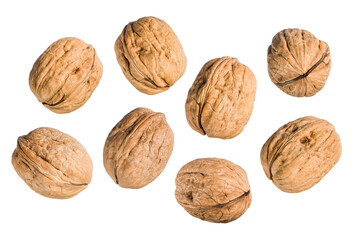 Walnuts group isolated on transparent background, PNG Image.