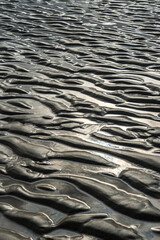 Abstract wallpaper of Sand ripples at low tide