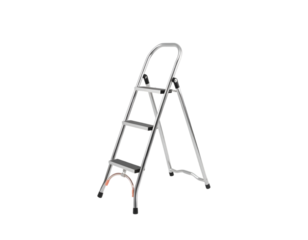 Ladder for disabled person