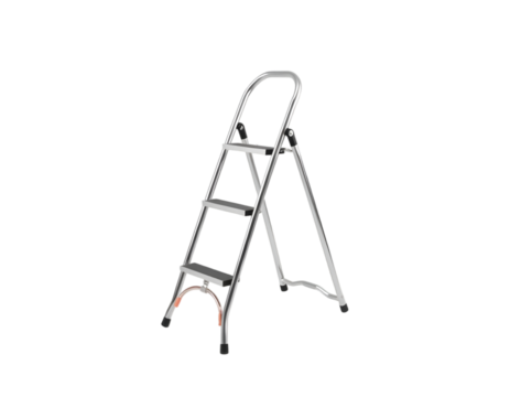 Ladder for disabled person