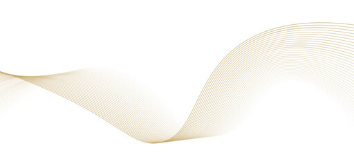 Luxury golden thin lines of gradient waves