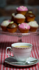 Cup of Tea and Cup Cakes on Gingham Table Cloth