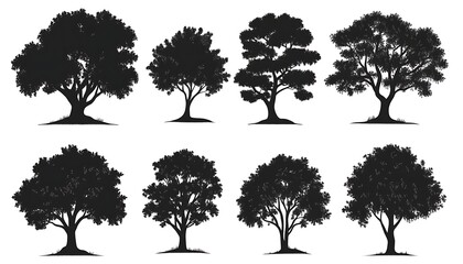 Fototapeta premium Trees silhouettes set on a white background for design