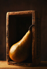 A Bosc Pear in a rustic antique wood box, still life