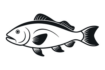 fish isolated on white background