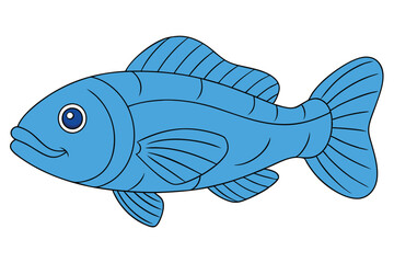 fish vector illustration