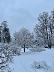 view of the park after snowfall