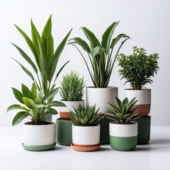  Various painted vases with plants