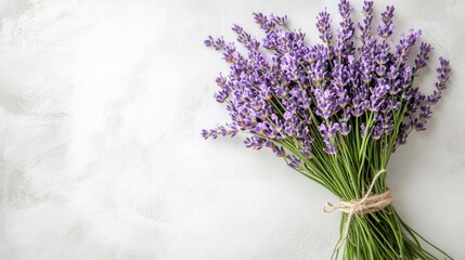 Fototapeta premium Fresh Lavender Bouquet on Light Background