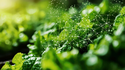 Synthetic Biology for Functional Foods - Engineering microorganisms and plants to produce functional foods with enhanced health benefits