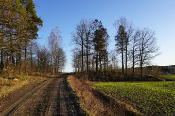 A dirt road next to a field