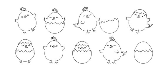 Easter chick and egg linear icon, cartoon children bird, cute small chicken hatch, spring little characters black outline design isolated on white background. Animal vector illustration