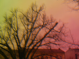 Colorful reflection of a city scene
