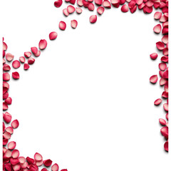 frame made of red Petals -  frame of flowers - Transparent Png