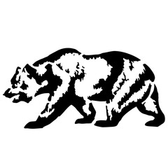 vector illustration of a bear