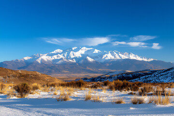  snow-covered andes