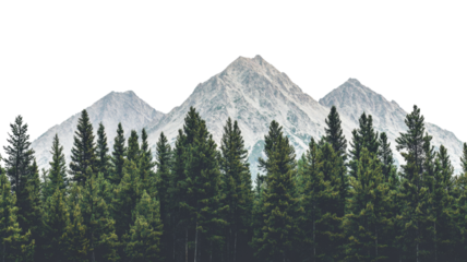 Evergreen forest growing at the foot of majestic snowy mountains with transparent background