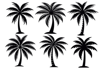 set of palm trees Black palm trees set isolated on white background. Palm silhouettes. Design of palm trees