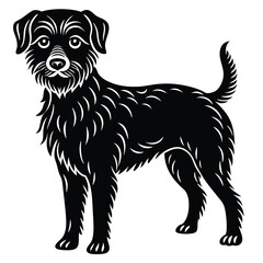 dog on white background