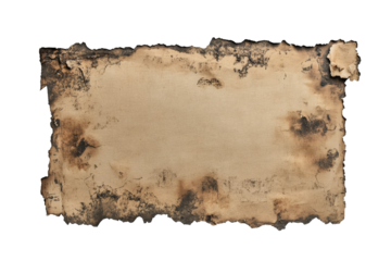 old paper with torn edges Cutout and isolated and transparent background image