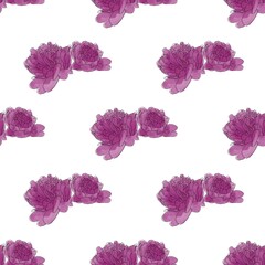 seamless pattern of a watercolor peony isolated on a white background