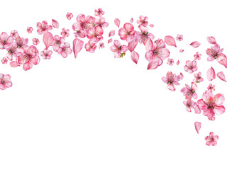 Obraz premium pink orchid flowers