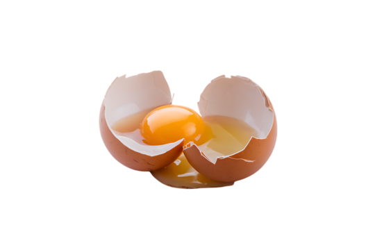 A Broken Chicken Egg with Visible Yolk and Egg White
